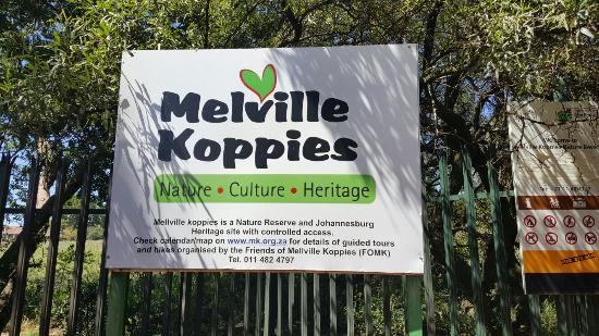 Melville Koppies